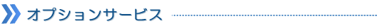 オプションサービス